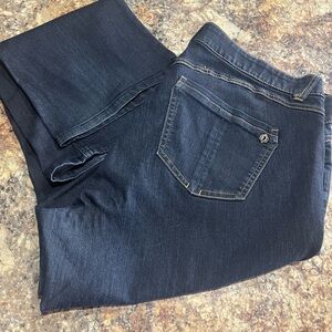 Democracy AbSolution bootcut jeans